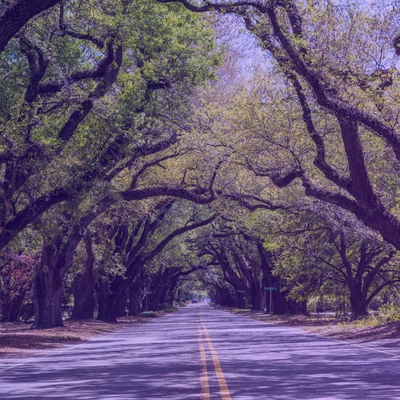 Aiken-SC-400px-overlay Image of downtown Aiken, SC